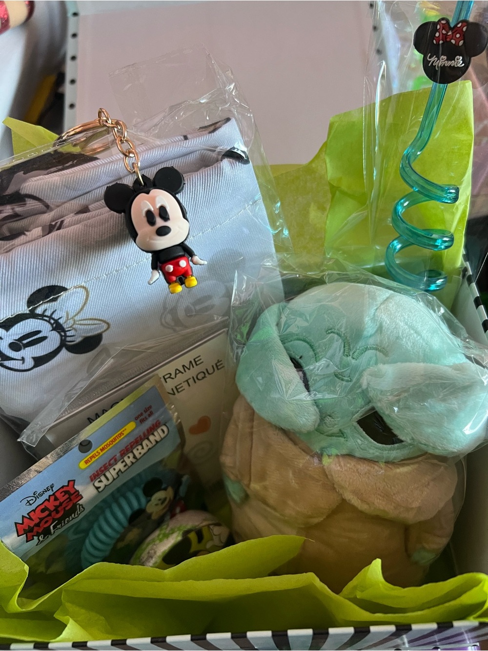 Grogu Gift Box with Mint Plush & White Mickey and Minnie Cinch Pouch.